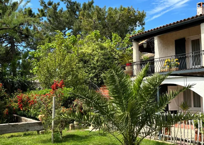 Appartement Les Flo Location
